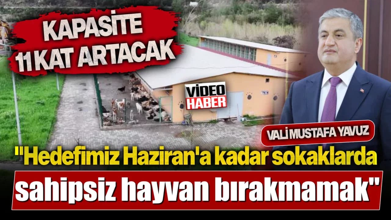 Karabük'te hayvan bakım ve rehabilitasyon merkezlerindeki kapasite 11 kat artacak