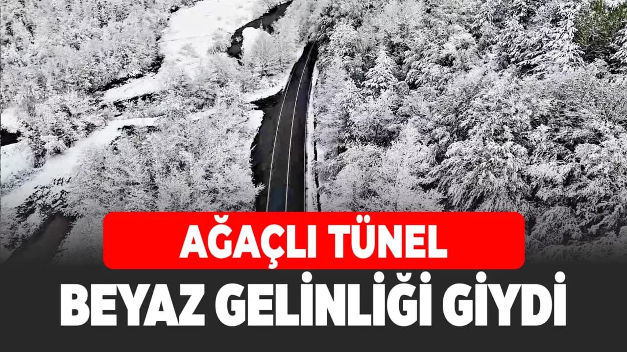 Doğal ağaç tünelli yol, kar manzaralarıyla mest etti