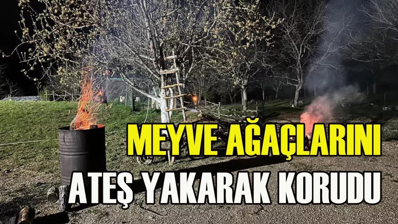 Ovacık’ta Ağaçlarını Dona Karşı Ateş Yakarak Koruyor