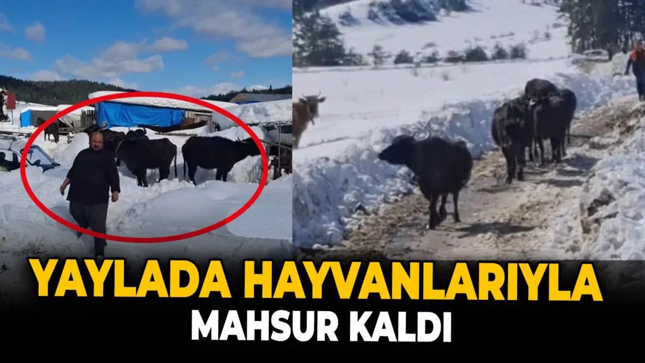 Yaylada Mahsur Kalan Vatandaş ve Hayvanları Kurtarıldı