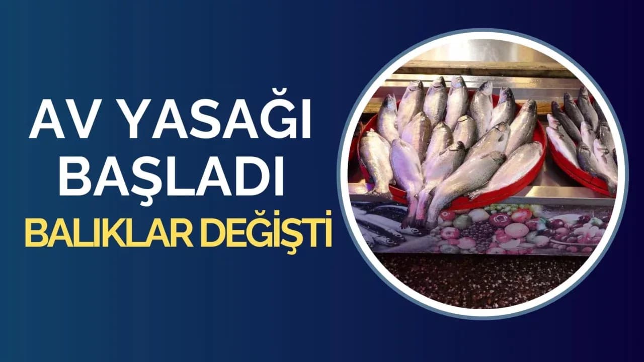 Yasak başladı, tezgâhlar onlara kaldı