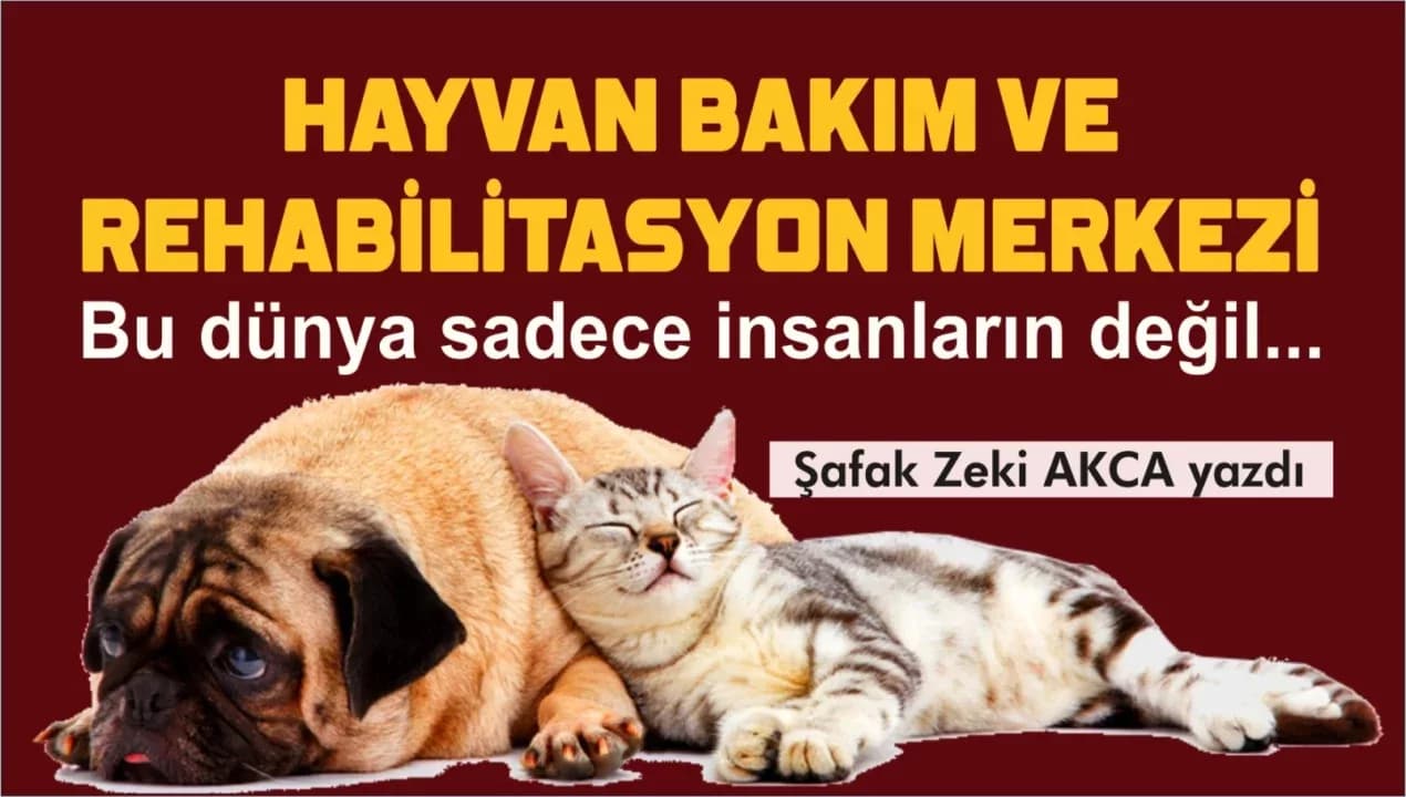 KARABÜK’TE HAYVAN BAKIM VE REHABİLİTASYON MERKEZİ