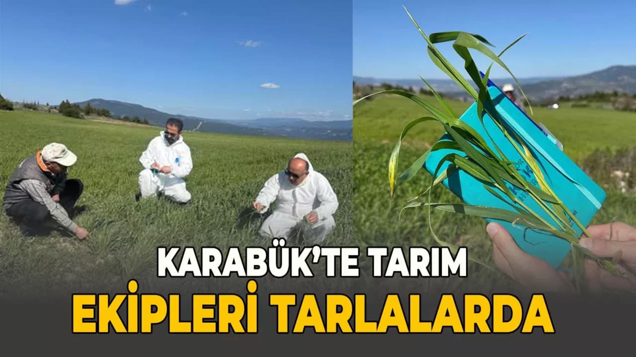 Karabük’te Pas Hastalıkları ve Zirai Don Zararları Takibi Sürüyor