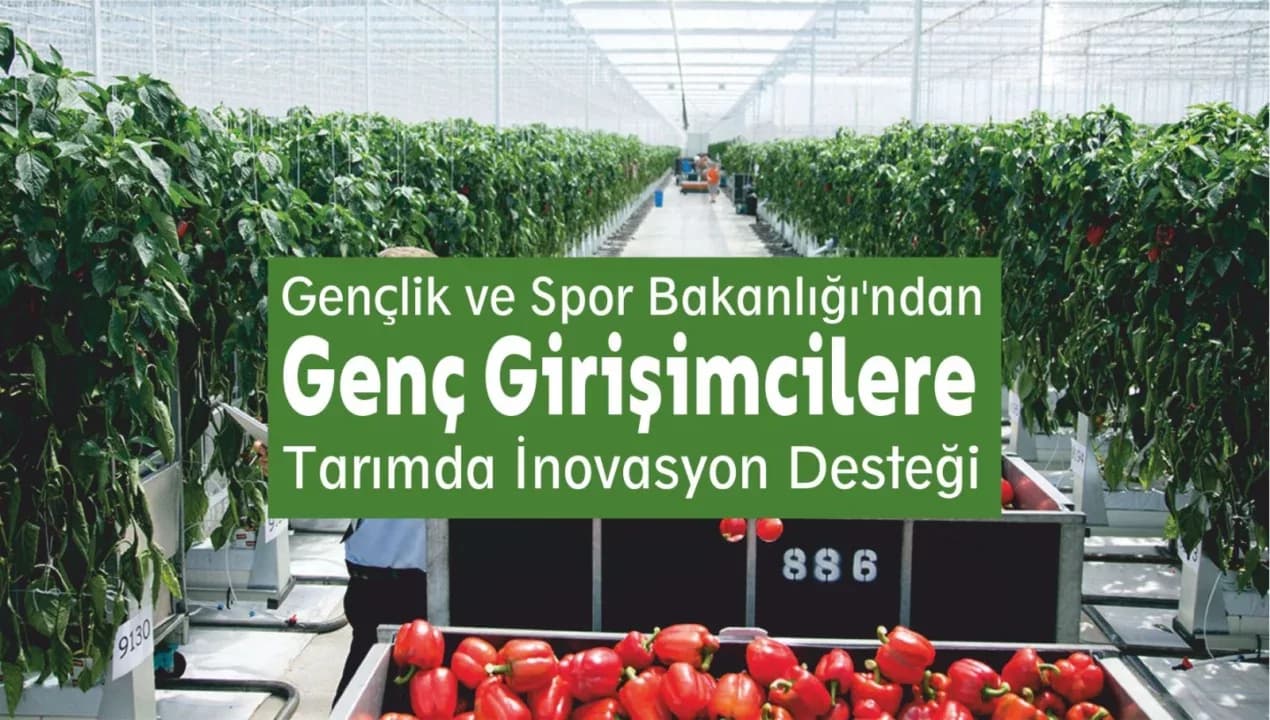 Gençlik ve Spor Bakanlığı'ndan Genç Girişimcilere Tarımda İnovasyon Desteği