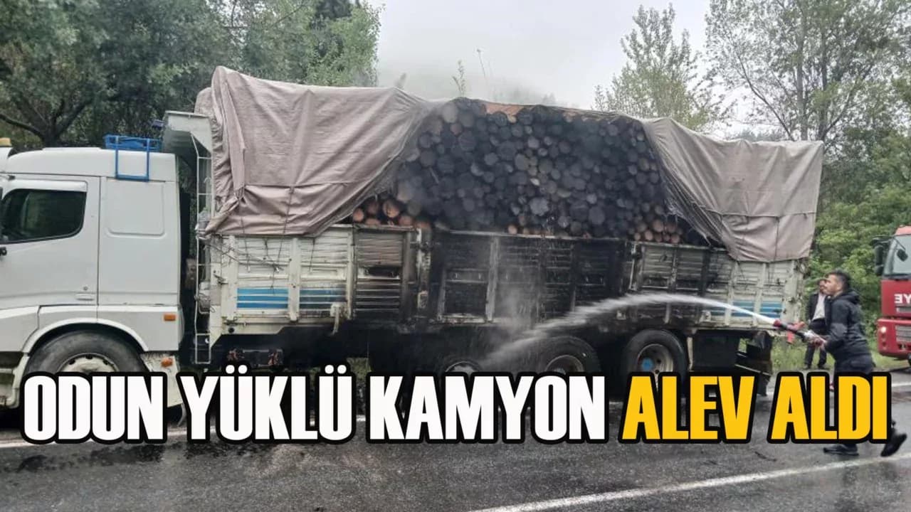 Yenice'de Kamyon Alev Aldı