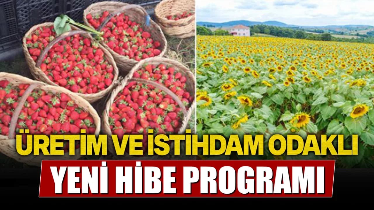 Kooperatiflere Üretim ve İstihdam Odaklı Hibe Desteği