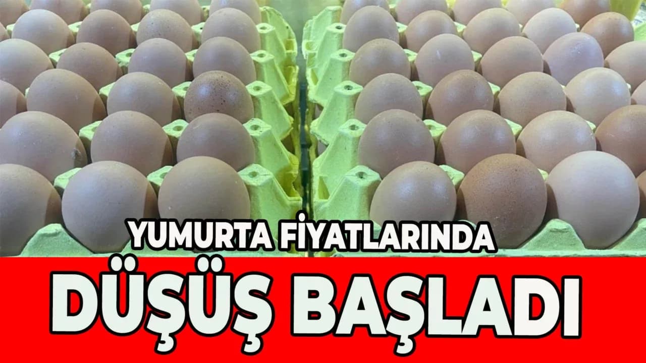 Yumurta fiyatları "mayıs çukuru" yaklaşınca düşüşe geçti