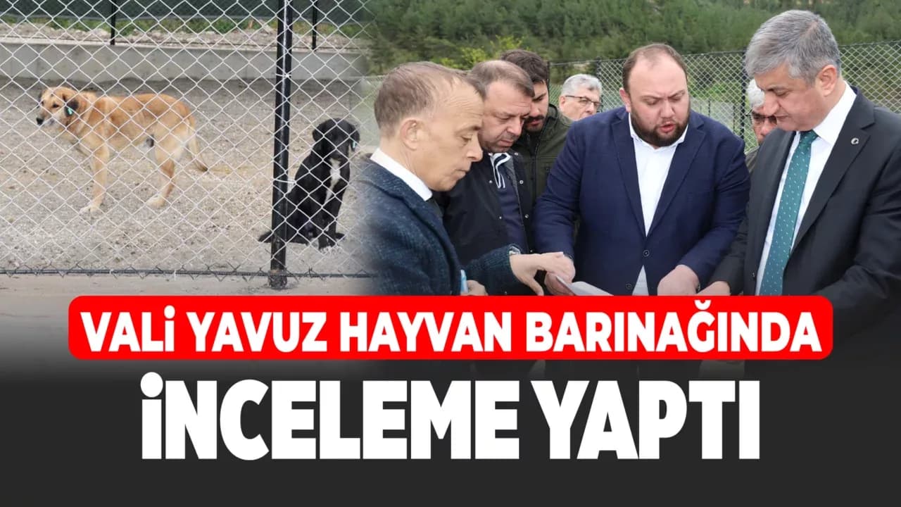 Vali Yavuz, Sahipsiz Hayvan Bakım Merkezi'ni Ziyaret Etti