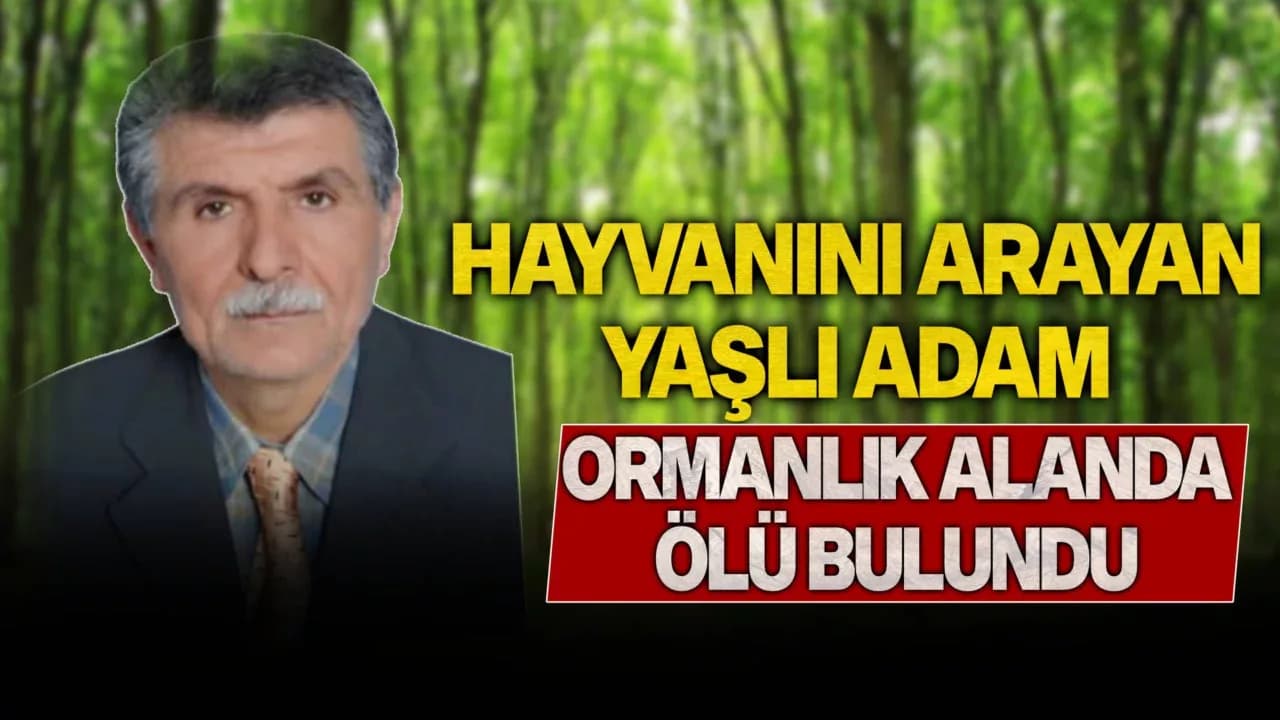 Kayıp hayvanını arayan yaşlı adam ormanlık alanda ölü bulundu