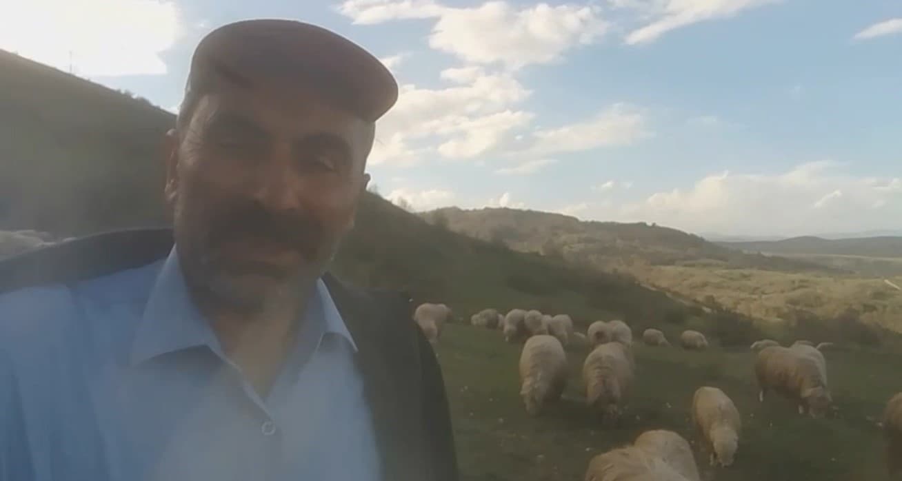 Kangallardan korkan ayı ağaca tırmandı
