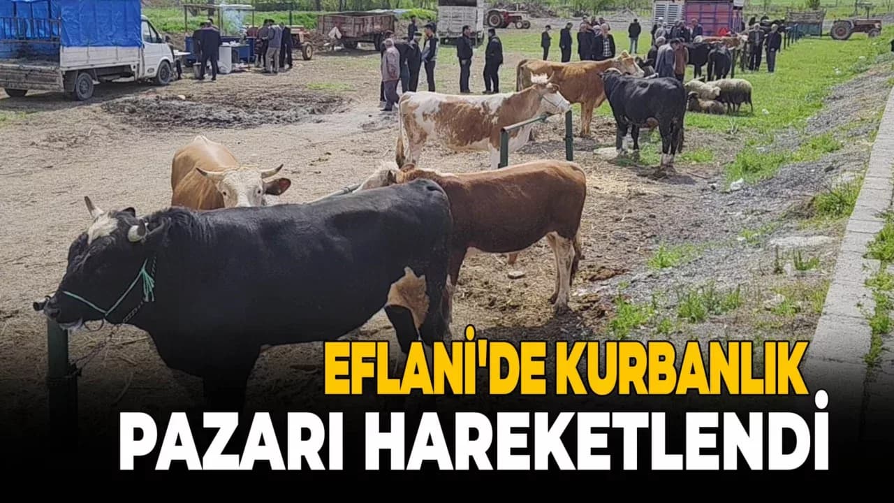 Eflani'de Kurbanlık Satışları Başladı