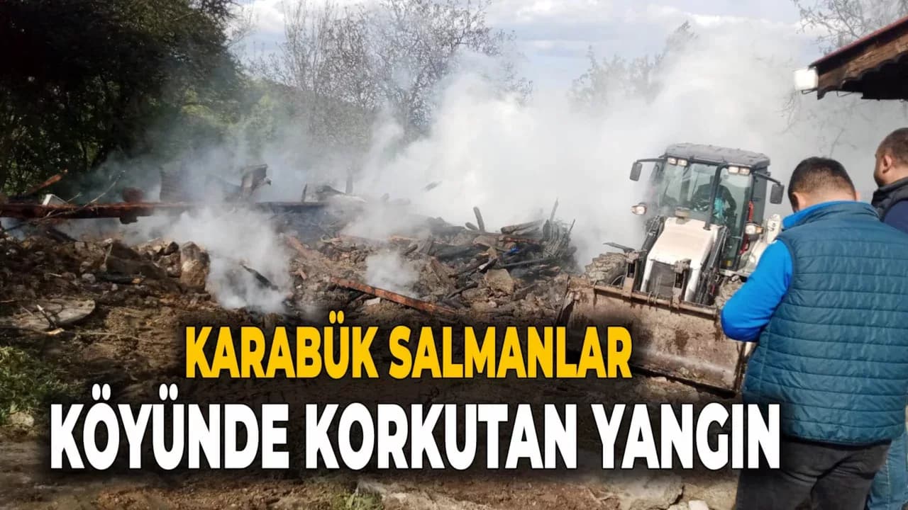 Karabük’te Salmanlar Köyünde Yangın