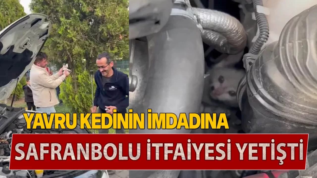 Otomobilin motoruna sıkışan yavru kedi kurtarıldı