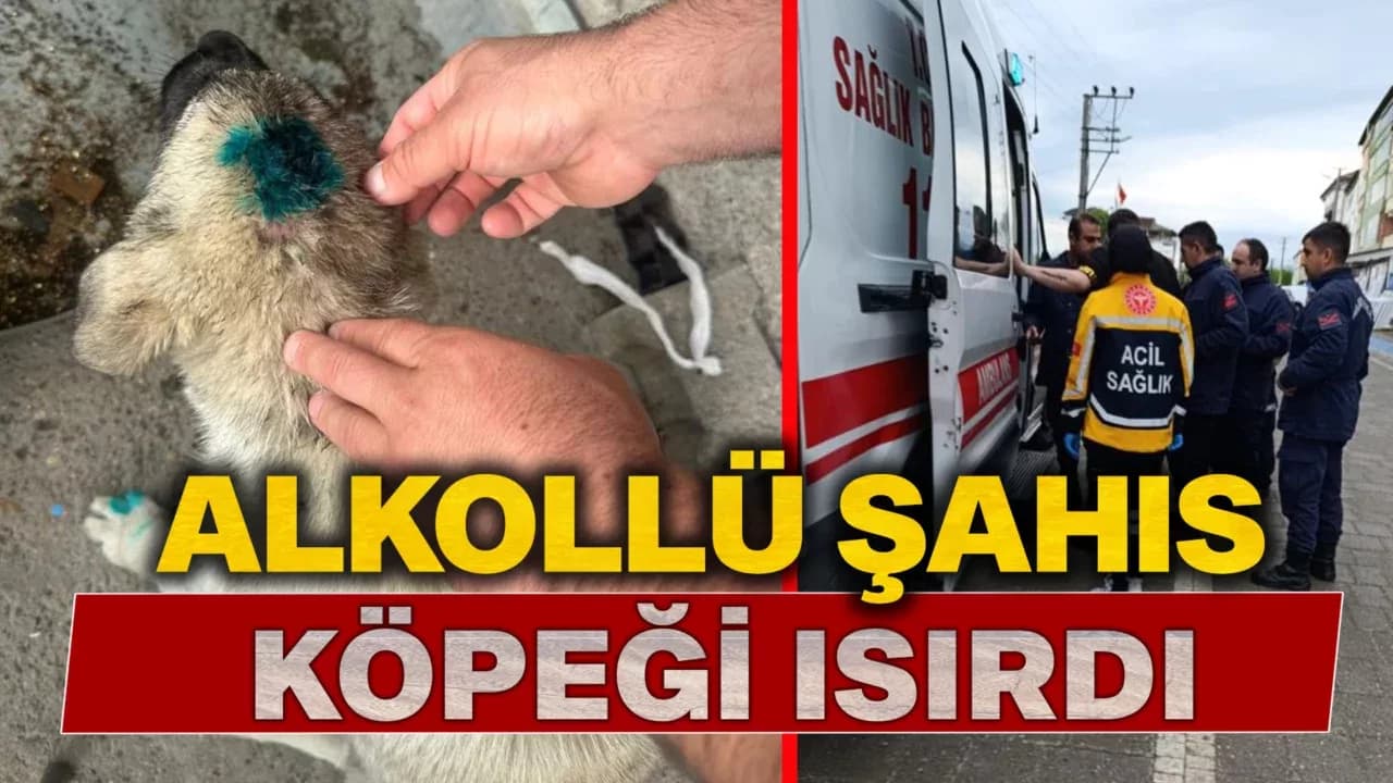 Bu kez insan köpeği ısırdı