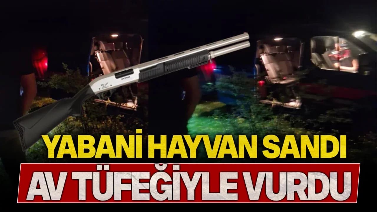Mantar toplarken yabani hayvan sandığı arkadaşını av tüfeğiyle vurdu