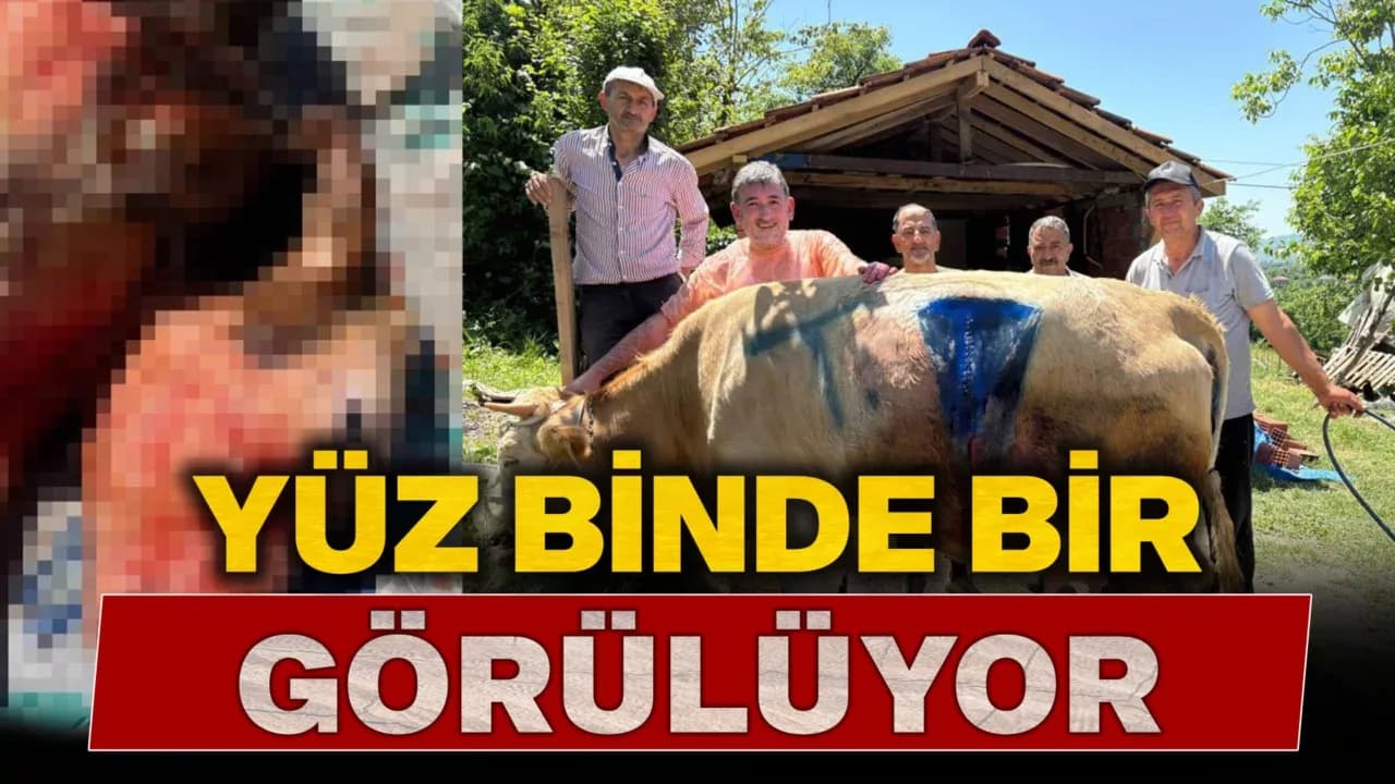 Bartın'da Yüz Binde Bir Görülen Olay