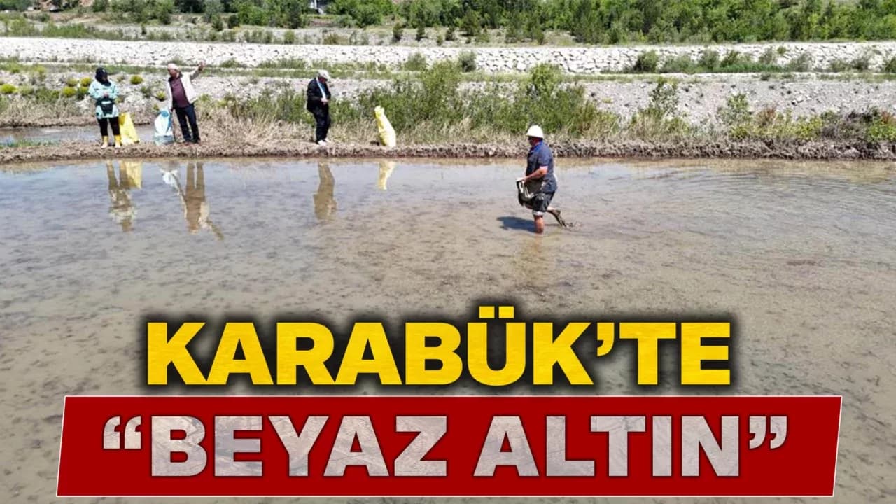 "Beyaz Altın" Çeltik Ekiminde Sona Yaklaşıldı