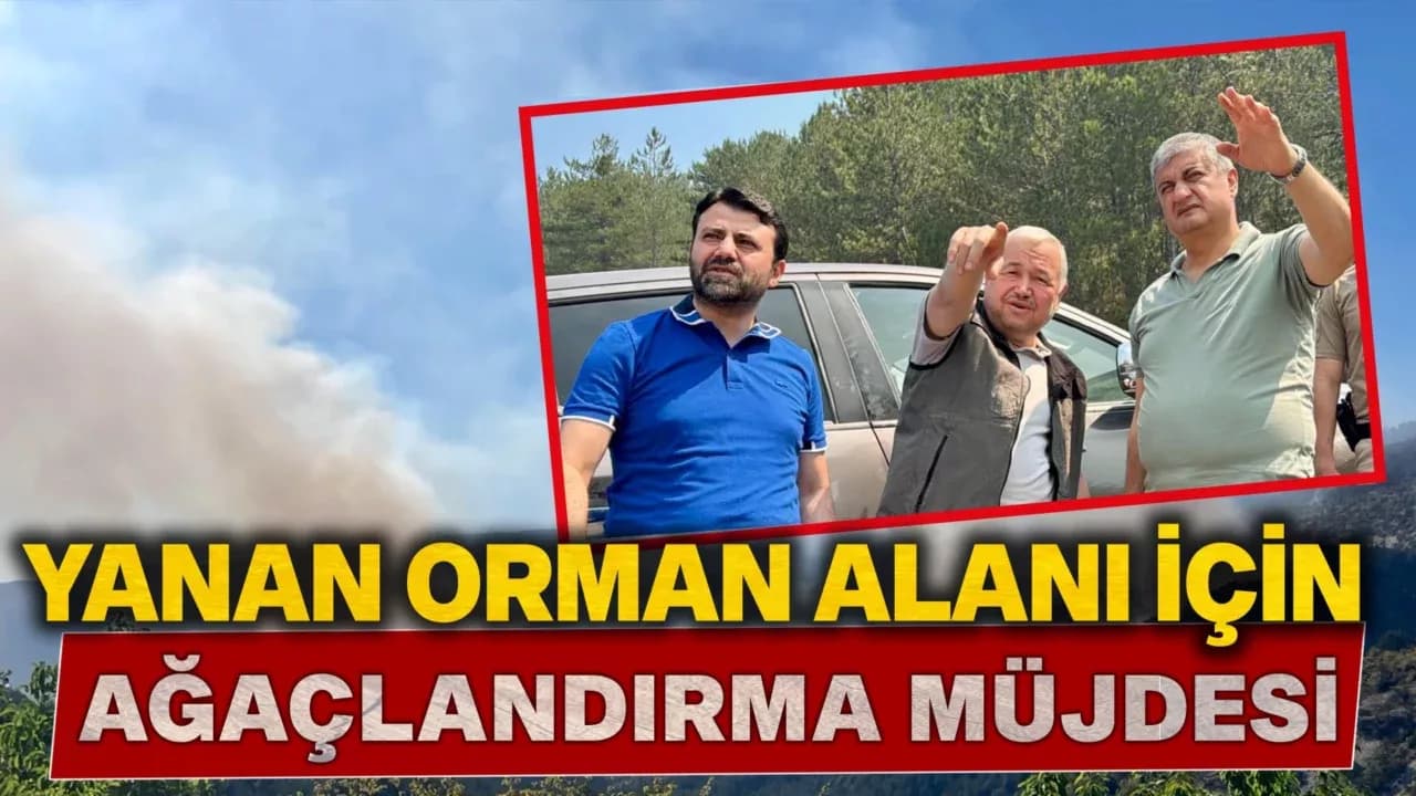 Milletvekili Şahin: "Yanan 88 Hektarlık Orman Alanı Ağaçlandırılıyor"