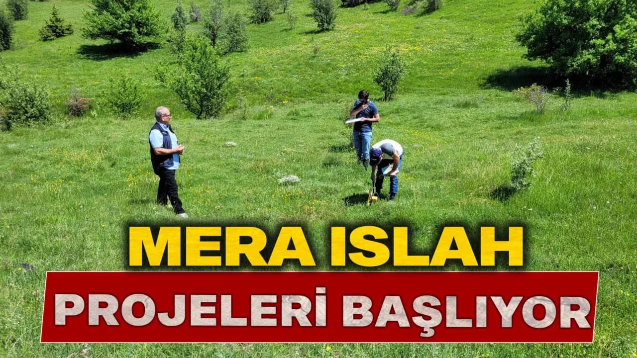 Eskipazar ve Eflani İlçelerinde Mera Islah Projeleri Başlıyor