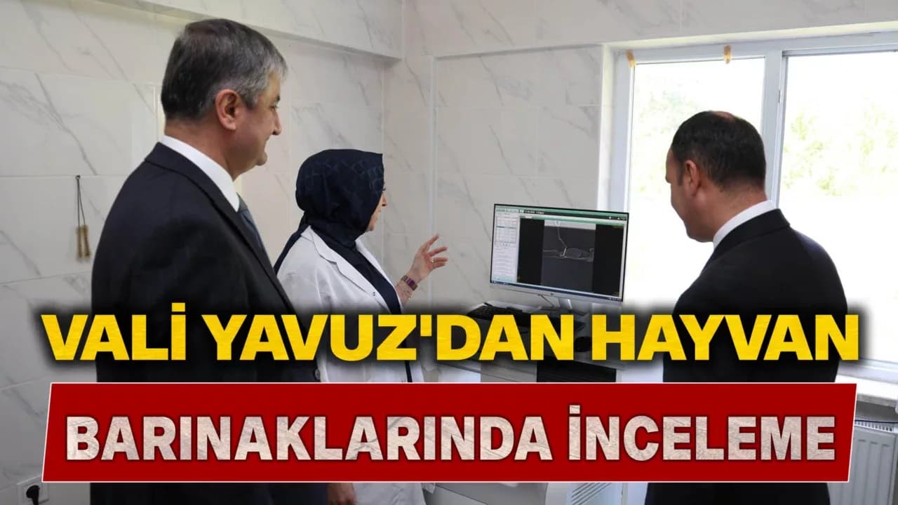 Vali Yavuz'dan Hayvan Barınaklarında İnceleme