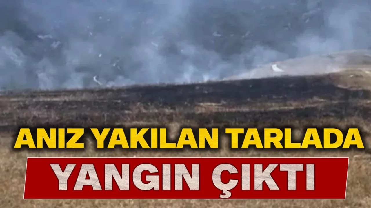 Anız Yangınında 1 Dönüm Tarım Arazisi Zarar Gördü