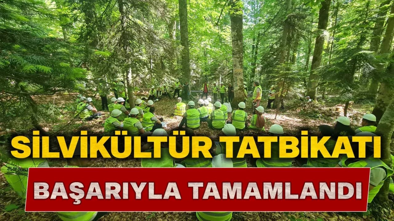 Karabük'te Silvikültür Eğitim Tatbikatı Başarıyla Gerçekleştirildi