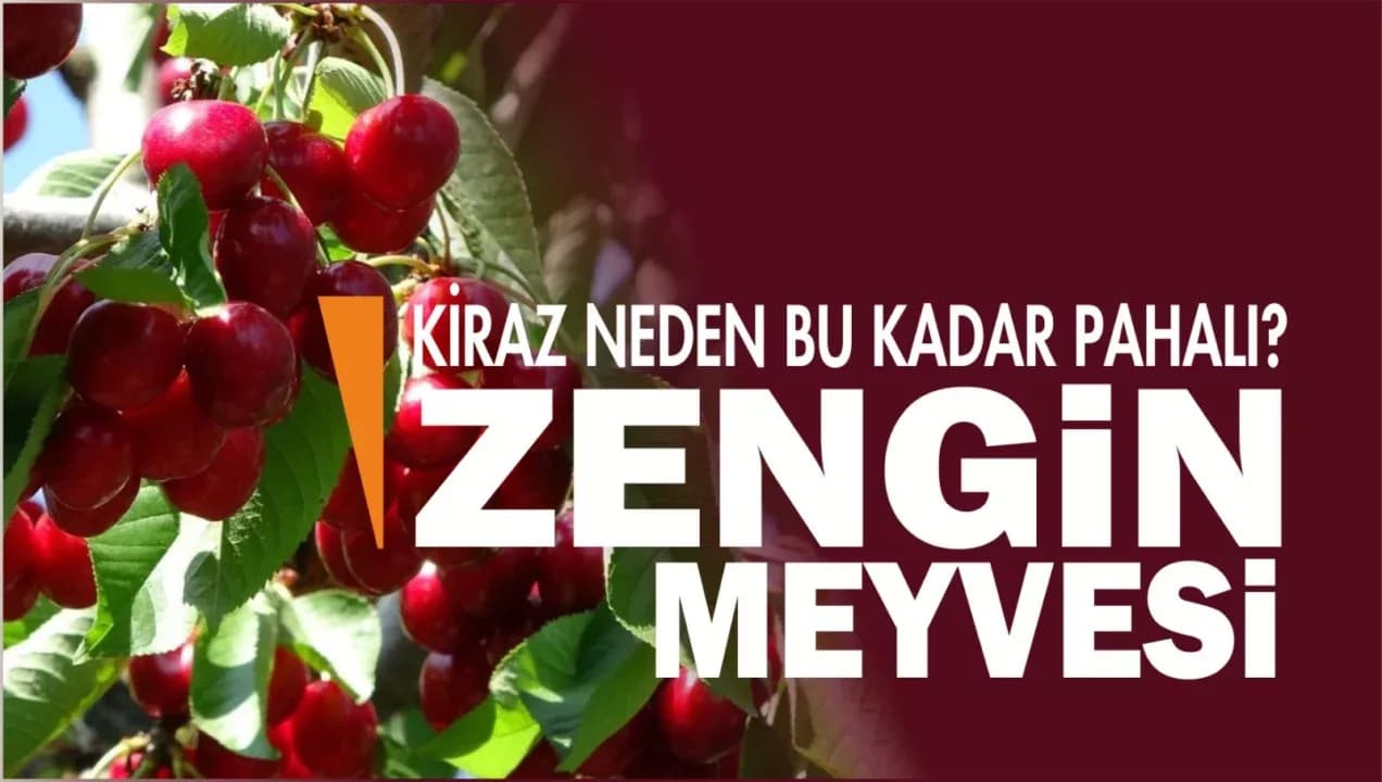 Kiraz da Artık Zengin Meyvesi Oldu!