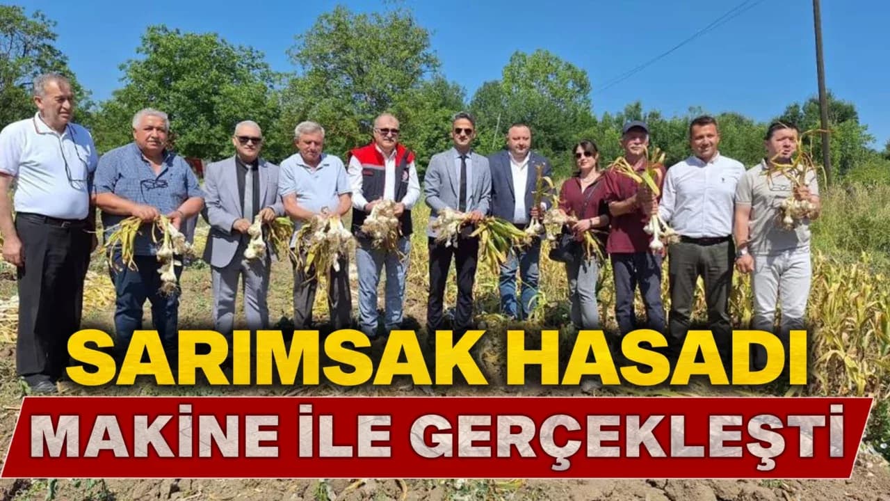 Sarımsak Hasadı Gerçekleştirildi