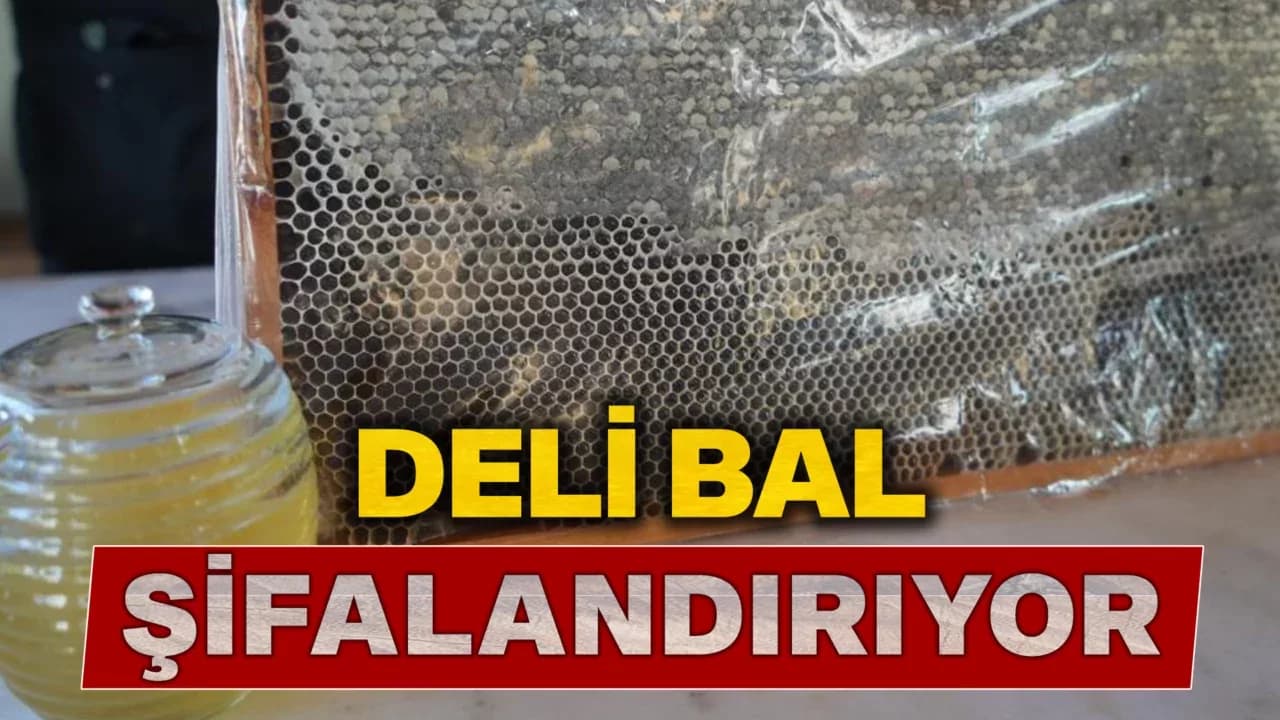 Deli balda üretim sezonu sürüyor