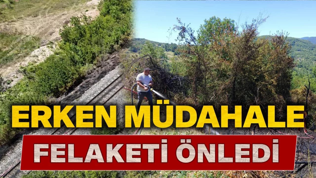 Karabük’te örtü yangınları büyümeden söndürüldü
