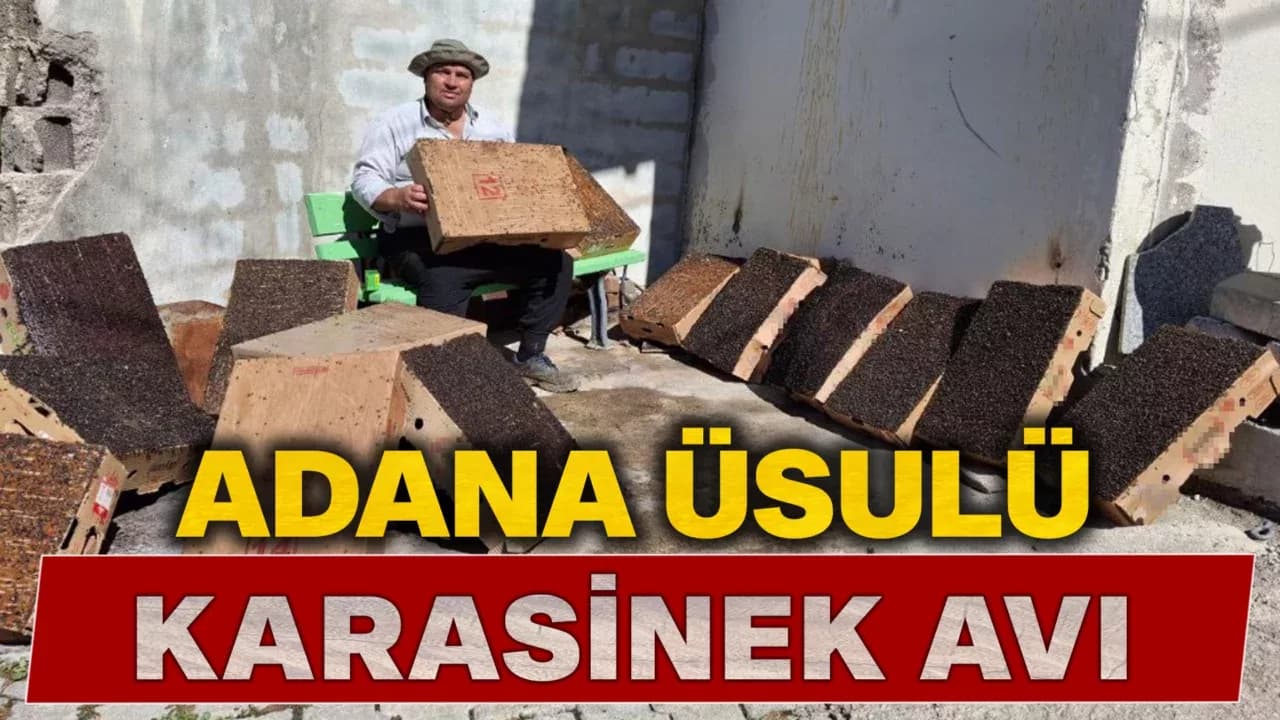 Bu da Adana usulü "sinekle mücadele"