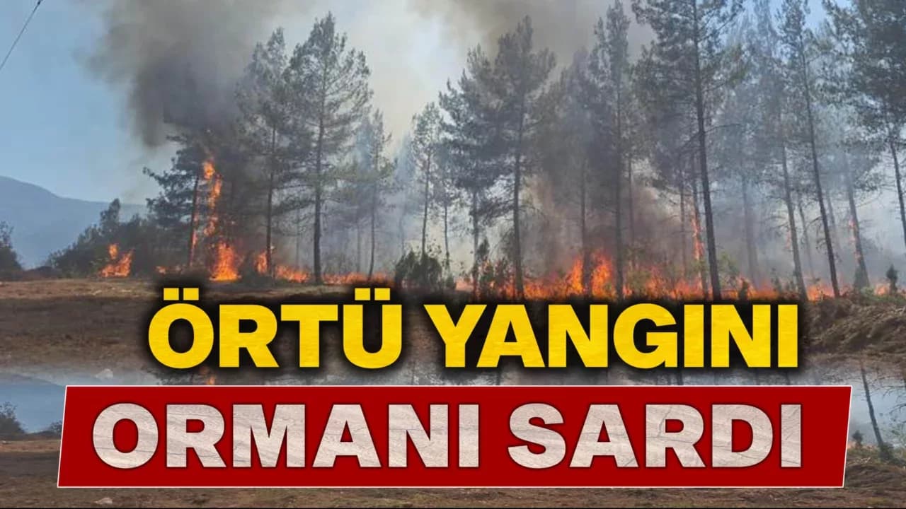 Örtü Yangınında 10 Dekarlık Alan Zarar Gördü