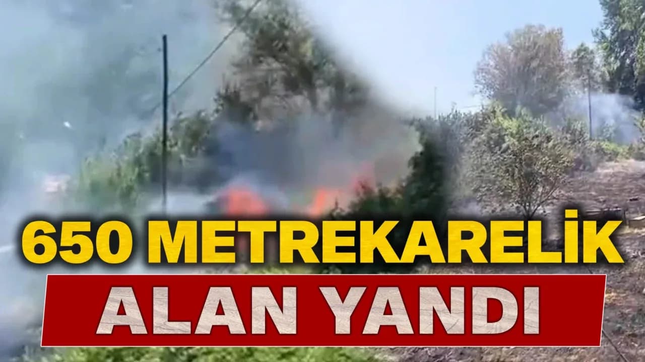 Karabük'te anız yangını büyümeden söndürüldü
