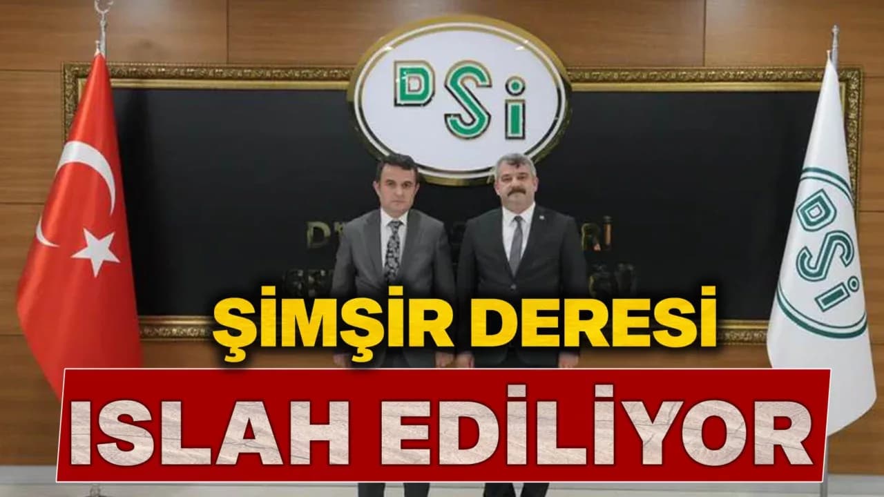 Yenice’de  Şimşir Deresi 2. Kısım Projesi Başlıyor