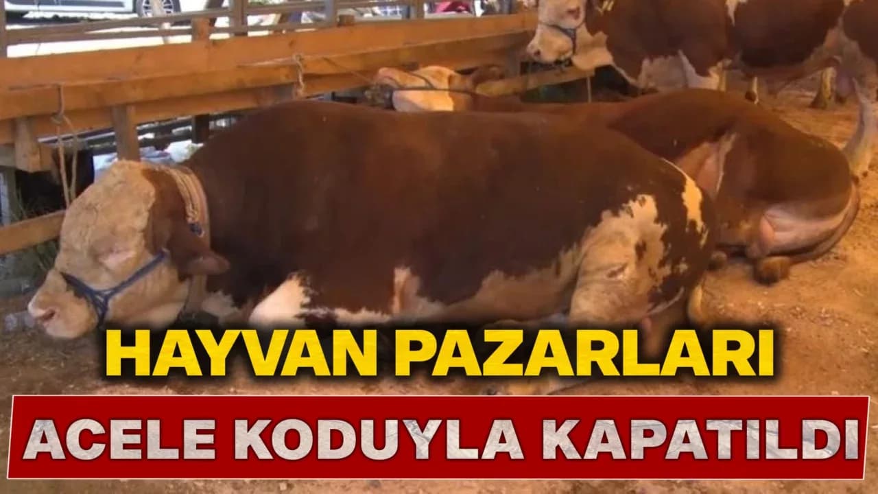 Ülke genelinde tüm hayvan pazarları kapatıldı