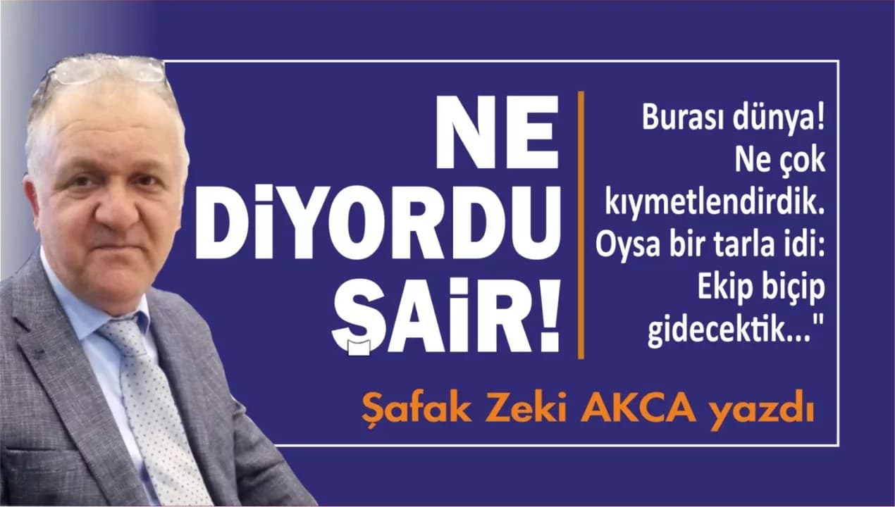 NE DİYORDU ŞAİR