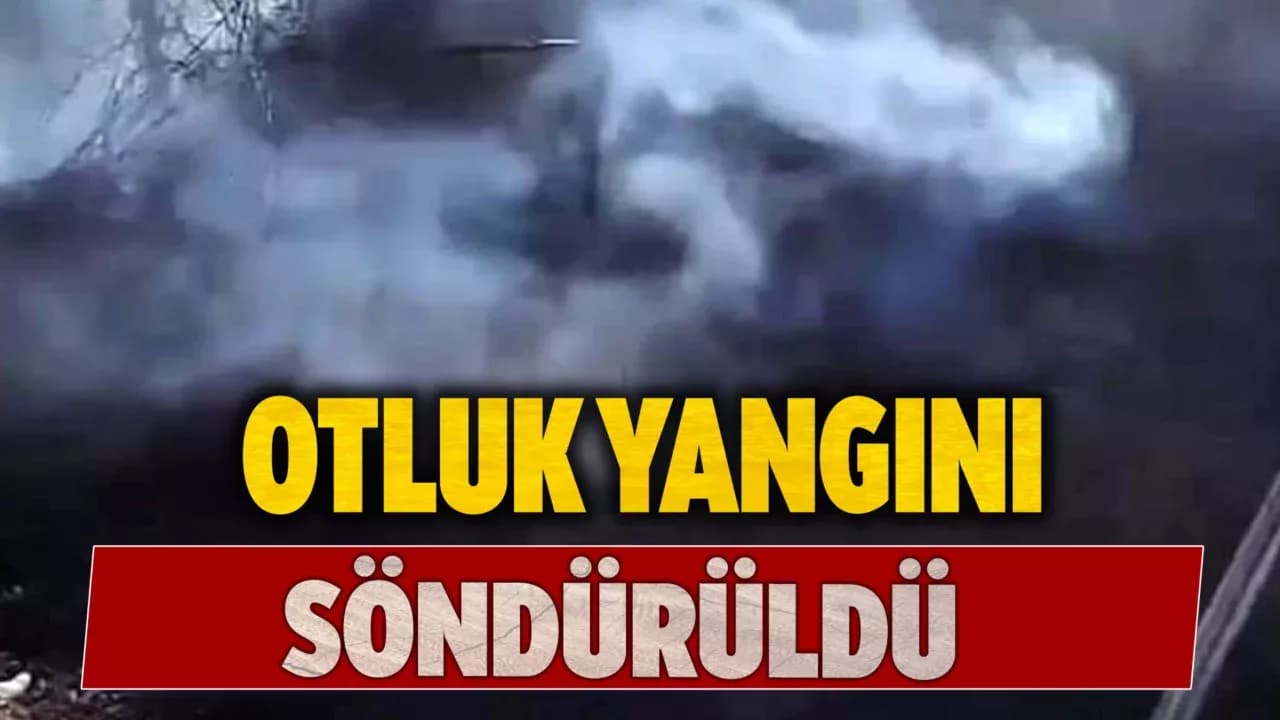 Safranbolu'da Çıkan Otluk Yangını Söndürüldü