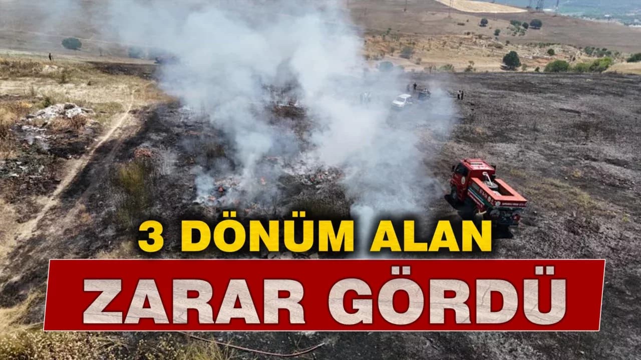 Ot yangınında 3 dönümlük alan zarar gördü