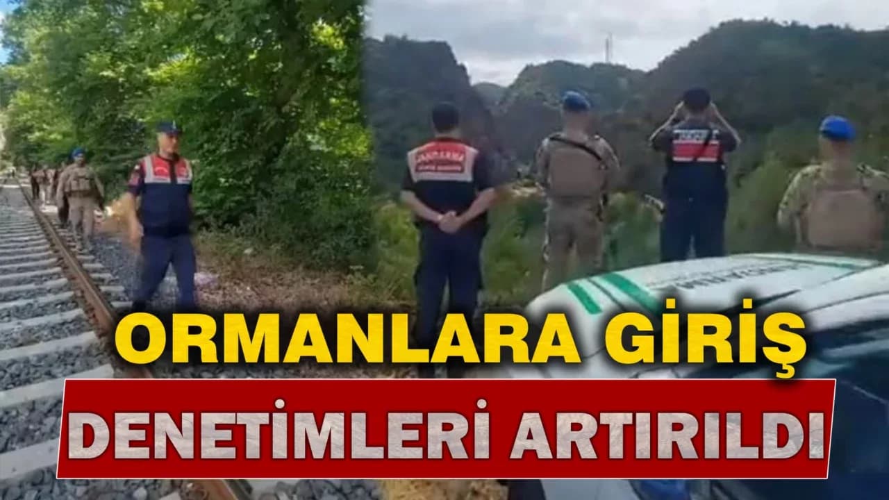 Ormanlara İzinsiz Girişlerle İlgili Denetimleri Artırıldı