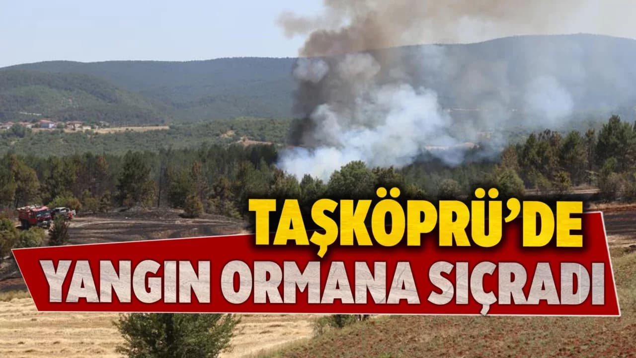 Tarlada çıkan yangın ormana sıçradı: Ekipler karadan ve havadan müdahale ediyor