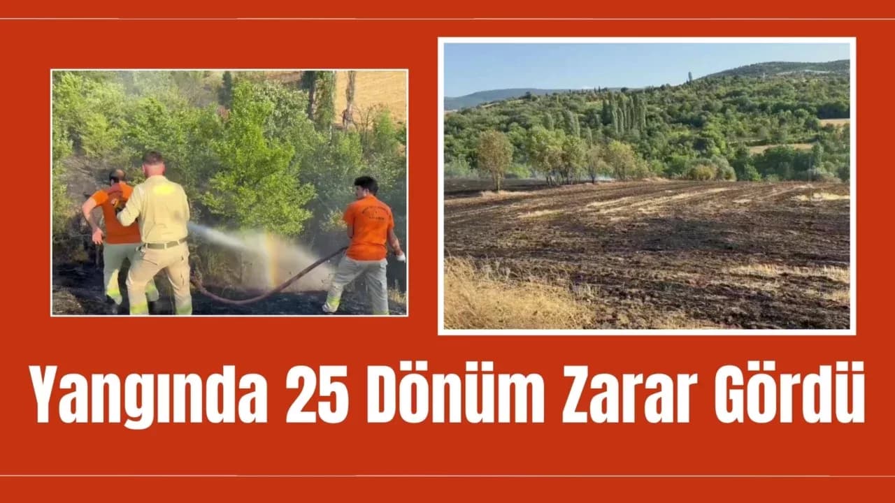 Karabük'te çıkan anız yangınında 25 dönüm alan zarar gördü