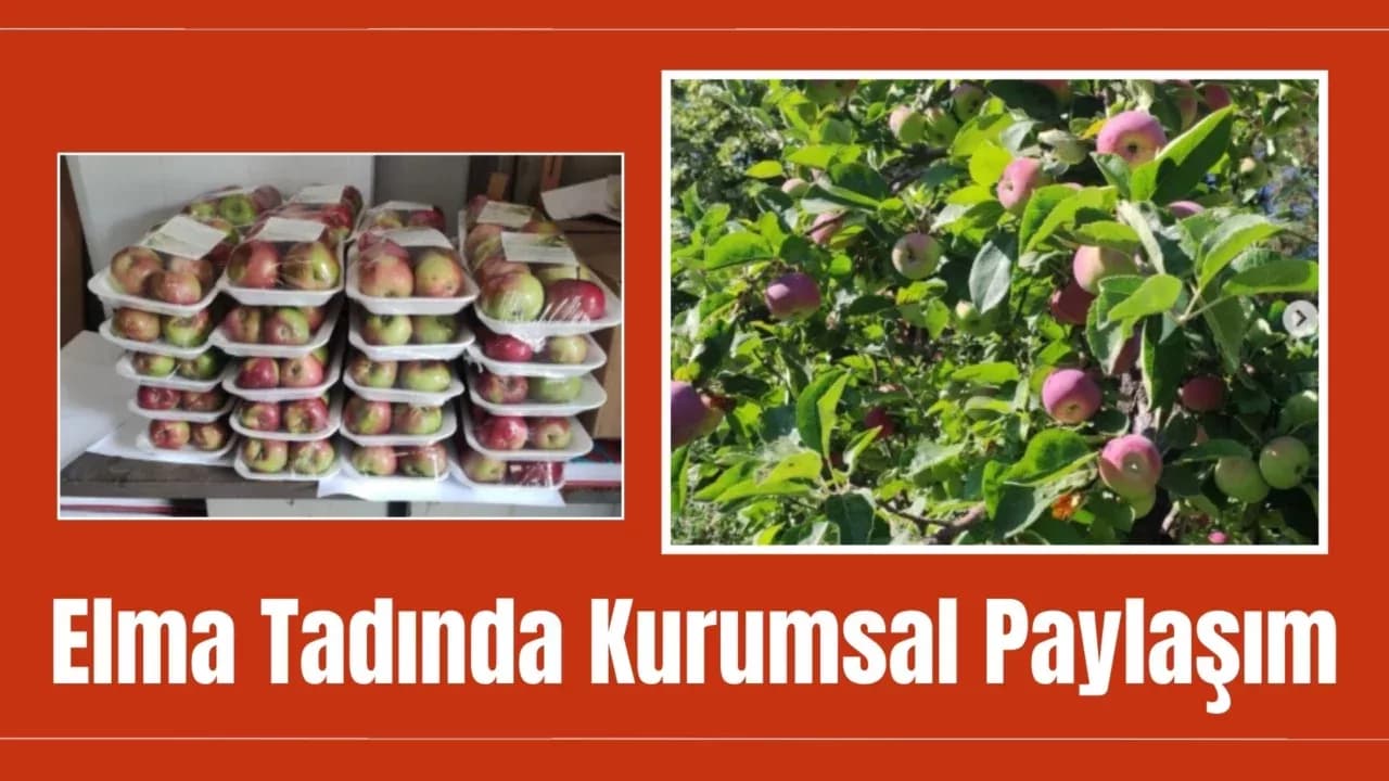 Safranbolu'da Elmalardan Tadımlık Paylaşım