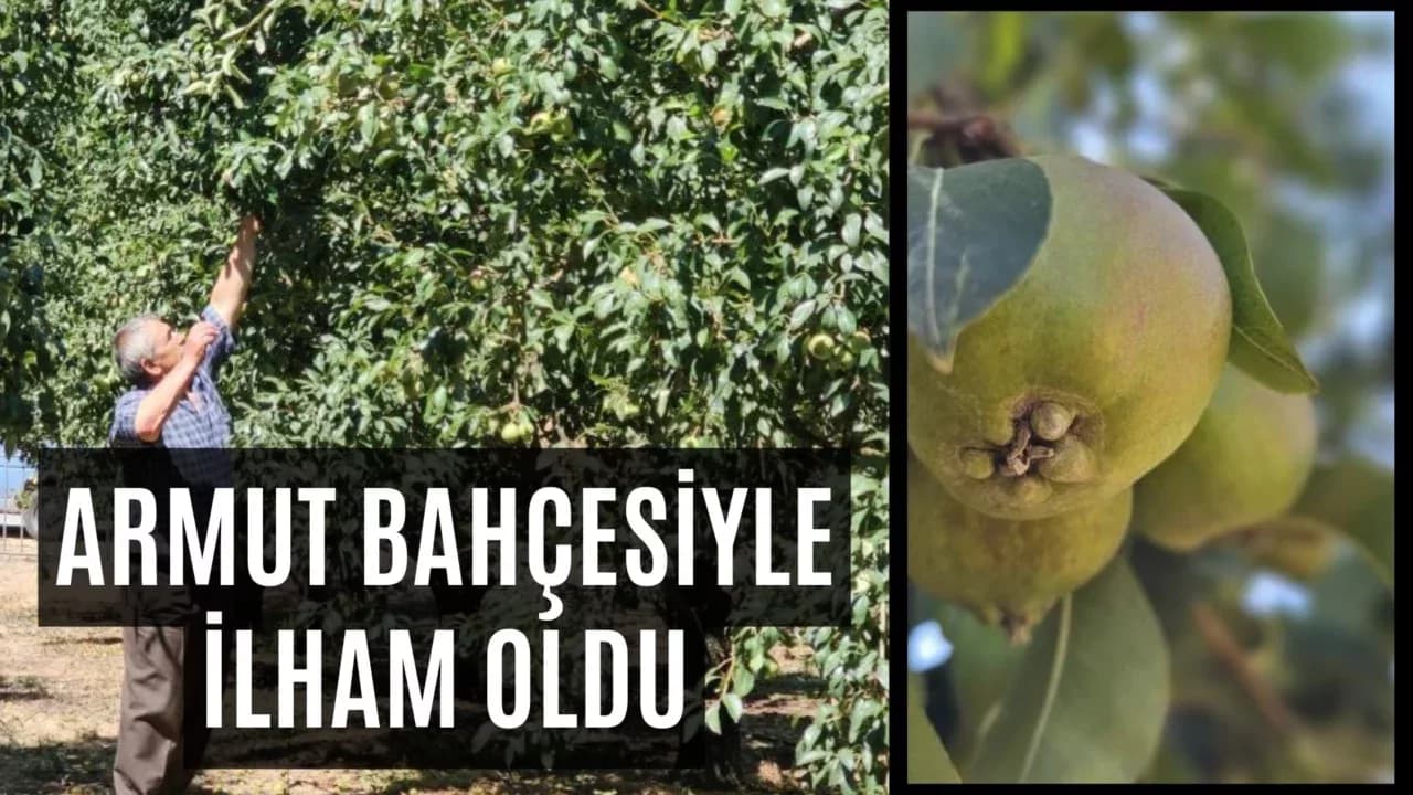Emekli madenci Hasan Girgin, köydeki üreticilere de öncülük etti