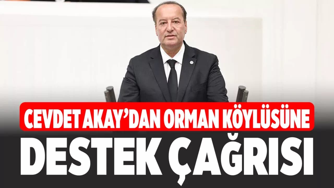 CHP’li Akay’dan Orman Köylüleri İçin Bakanlığa Çağrı: “Sorunları Görün, Çözüm Üretin”