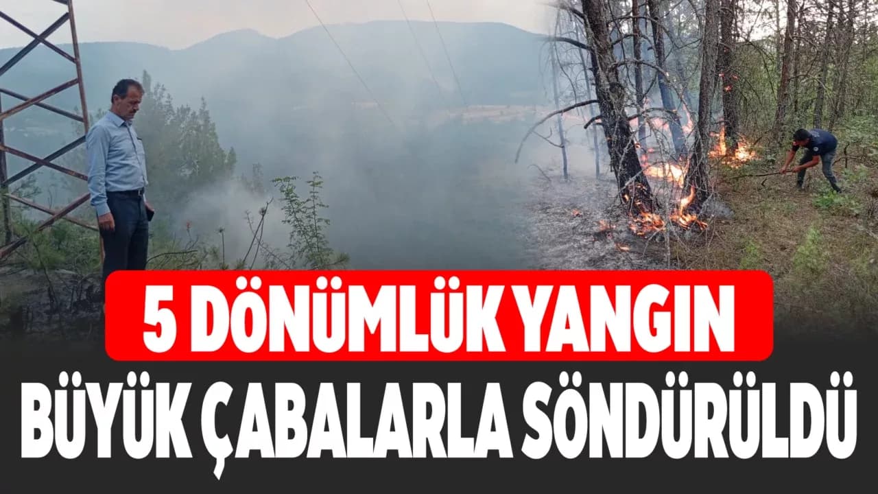 Ovacık'ta ormanlık alandaki örtü yangını kontrol altına alındı