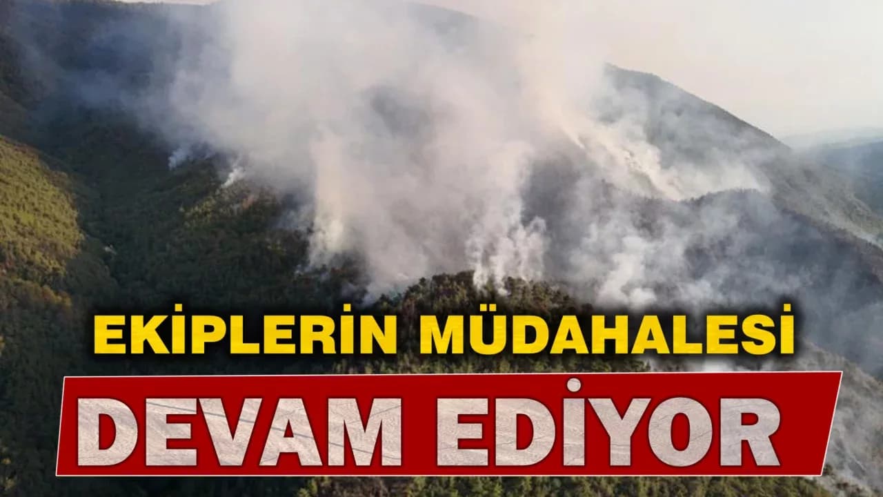 Karabük'te orman yangınına müdahale 6 saattir aralıksız sürüyor