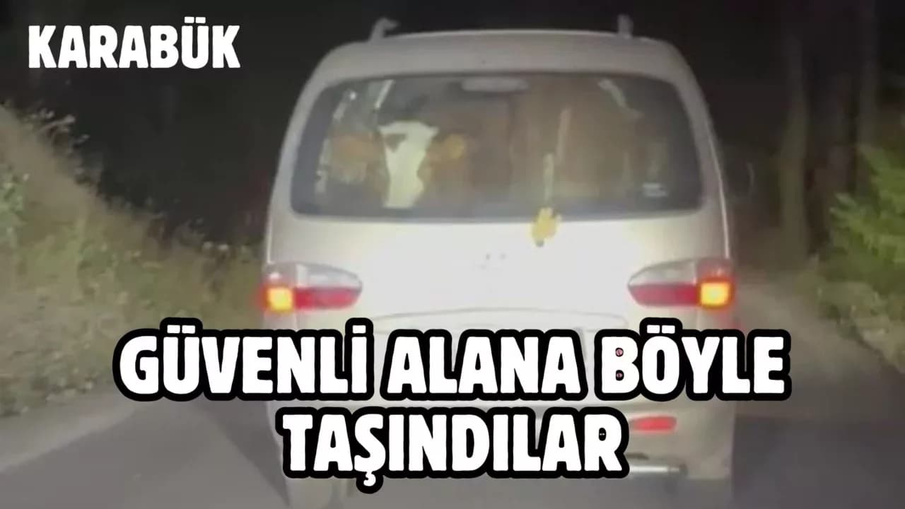 Hayvanlar Panelvanla Güvenli Alana Taşındı