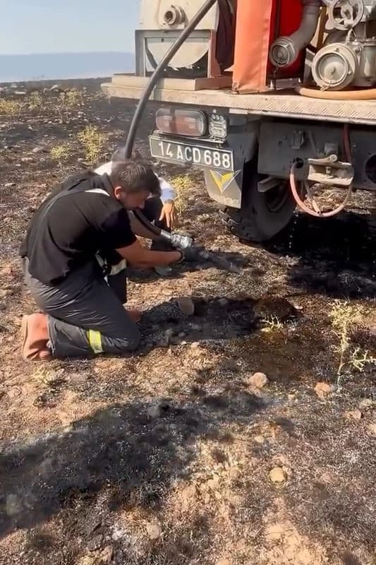 Yangından etkilenen kirpiye elleriyle su verdiler