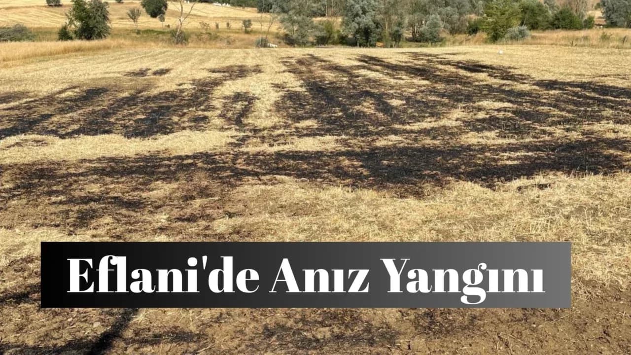Eflani'de Anız Yangını