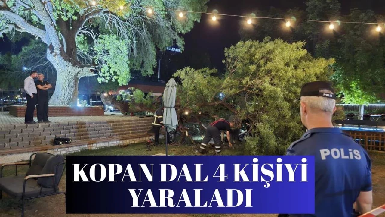 Karabük’te Ağaç Dalı Devrildi: 4 Yaralı